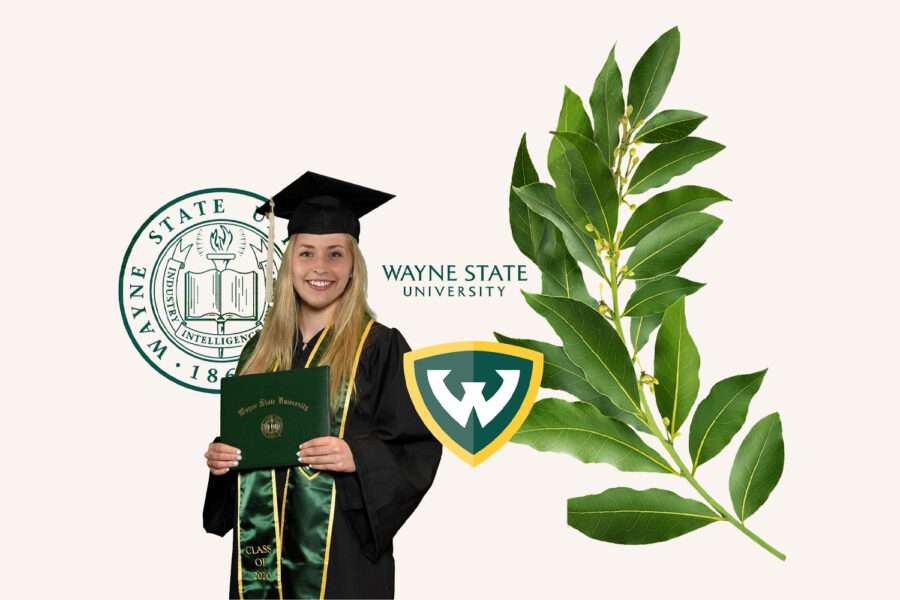 2016-2020